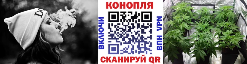 Где купить Клин Кокаин Меф А ПВП блэк спрут ТОР Амфетамин ГАШ Конопля