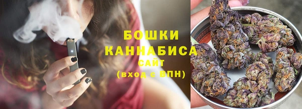 ГАЛЛЮЦИНОГЕННЫЕ ГРИБЫ Алексеевка