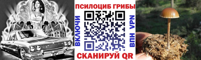 Галлюциногенные грибы Magic Shrooms Клин