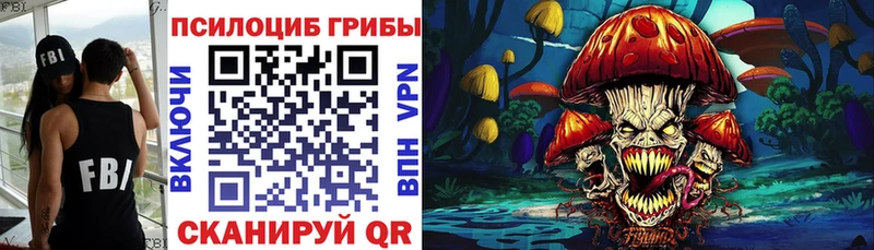 Галлюциногенные грибы Psilocybe  Клин 